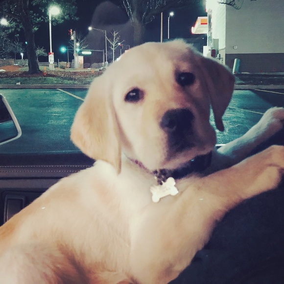 Meet Your Buyer/Seller - Picture 8 of 8